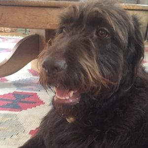 Meet your Posher, Elizabeth